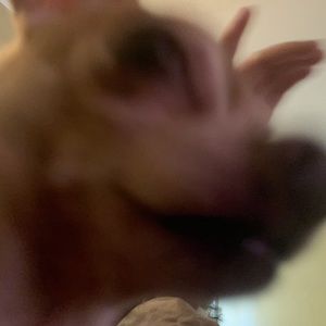 Meet your Posher, Jada